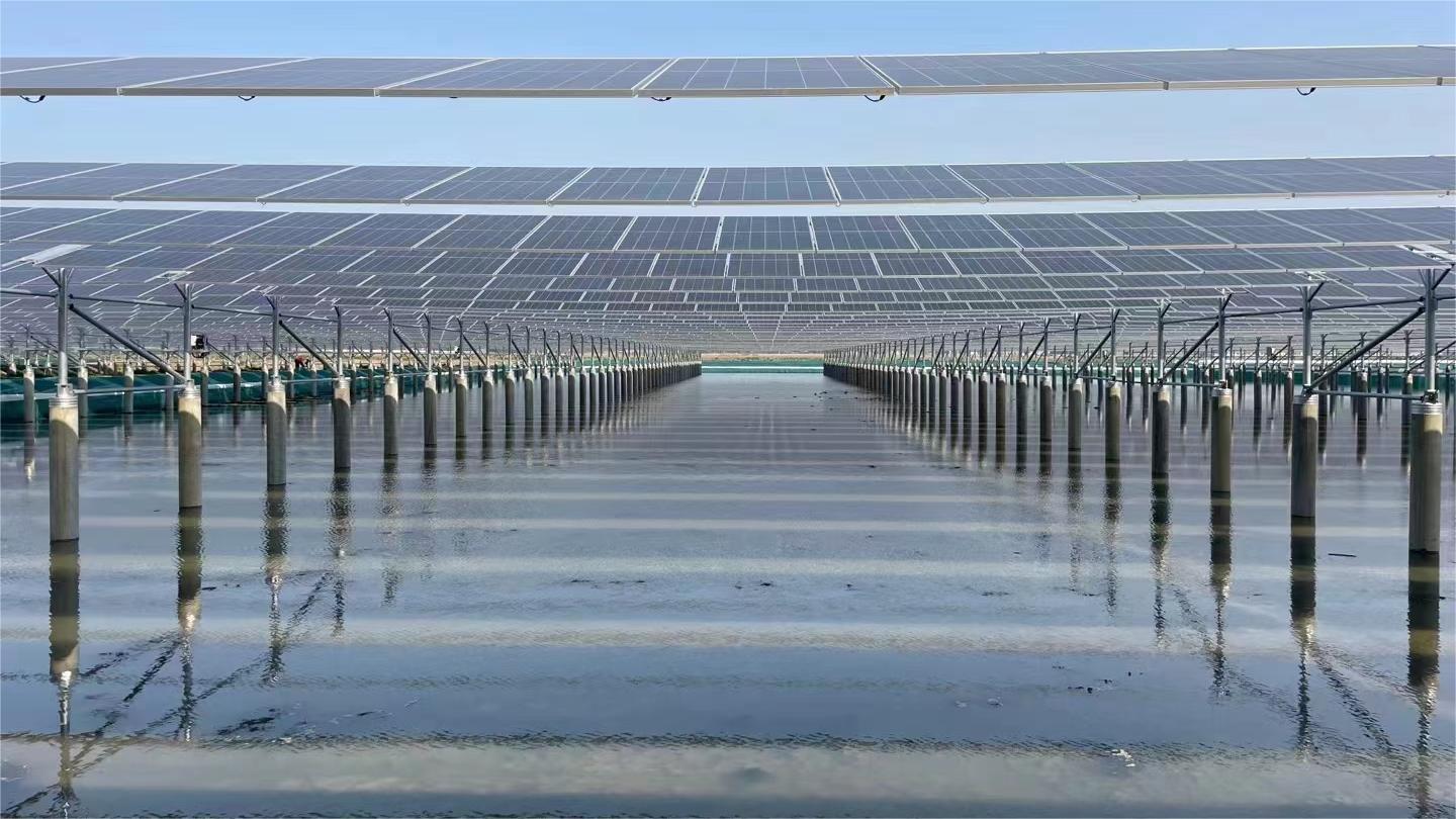 宜興新建鎮100兆瓦漁光互補發電項目工程